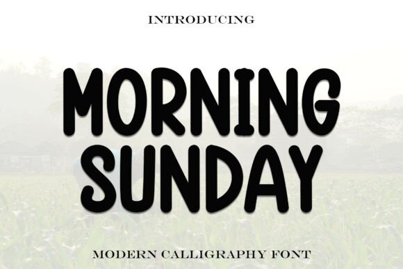 Morningsunday: A Cozy Rounded Display Font for Scroll-Stopping Marketing